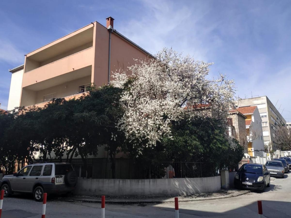 Split Symphony Garden: Modern, New Apartment Exteriör bild