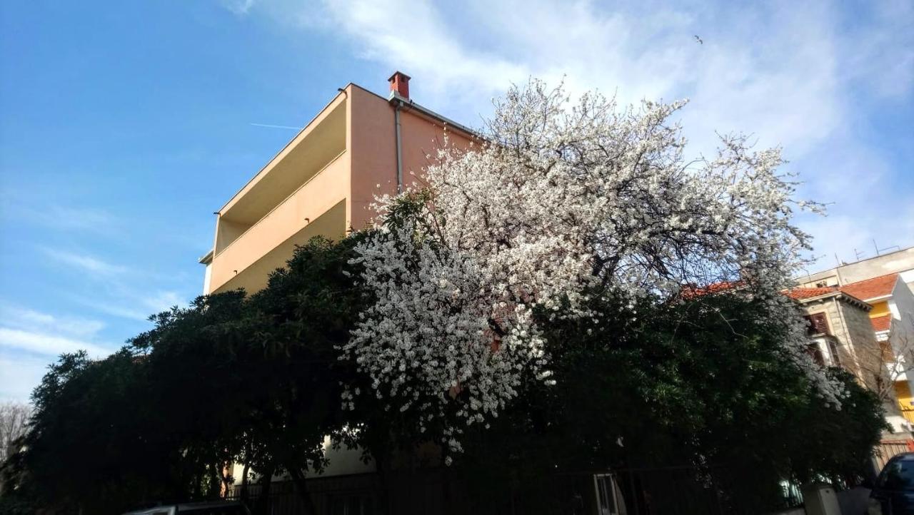Split Symphony Garden: Modern, New Apartment Exteriör bild